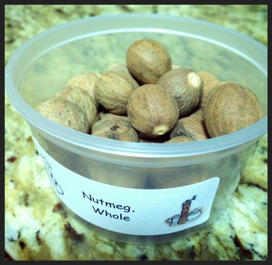 Nutmeg - www.SweetDashofSass.com
